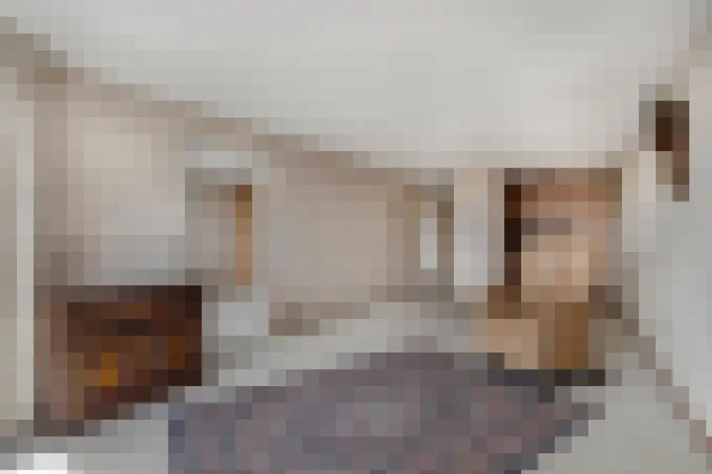 Zijpe 140 Zwolle thumbnail 5