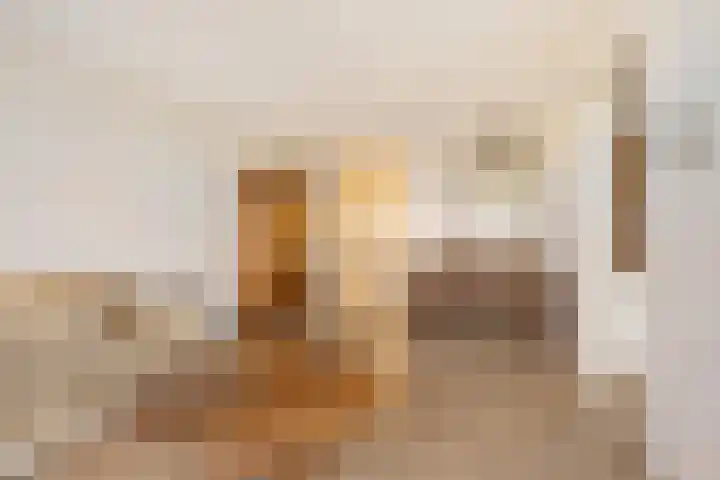 Zijpe 150 Zwolle thumbnail 11
