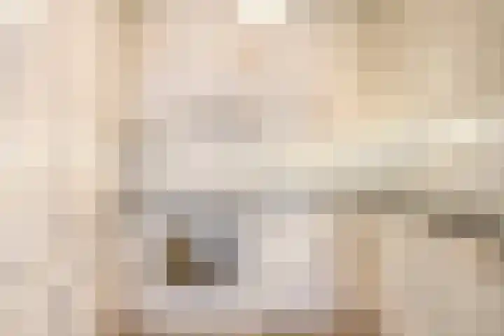 Zijpe 150 Zwolle thumbnail 13