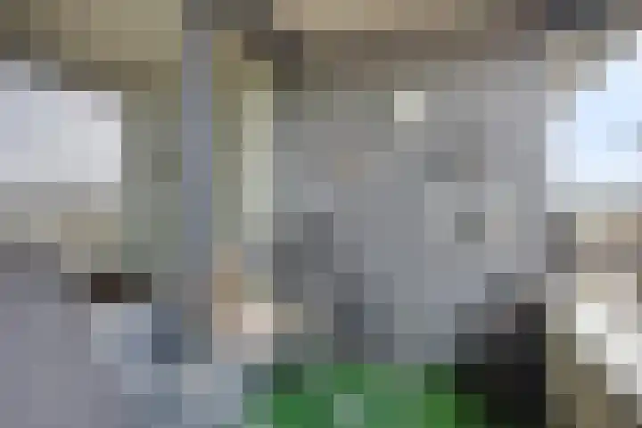 Zijpe 150 Zwolle thumbnail 18