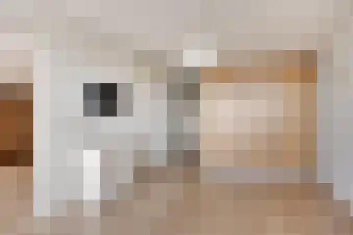 Zijpe 150 Zwolle thumbnail 22