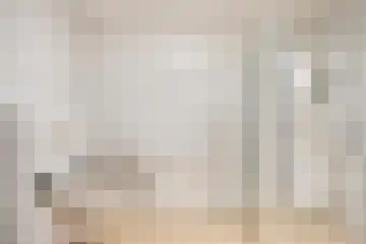 Zijpe 150 Zwolle thumbnail 25