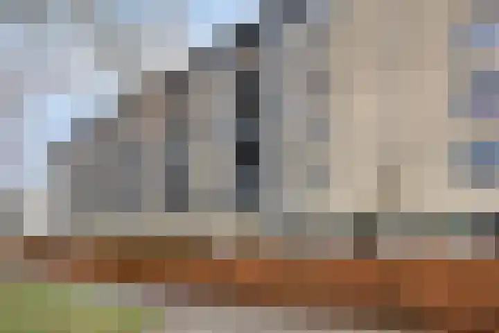 Zijpe 150 Zwolle thumbnail 29