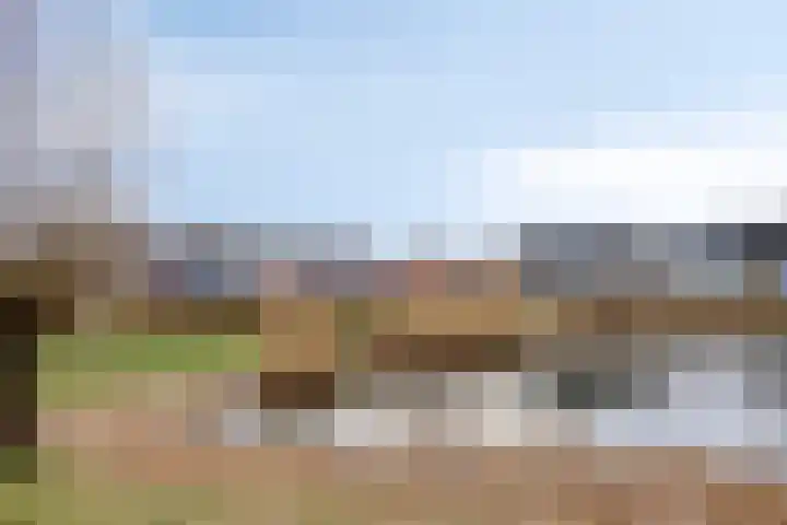 Zijpe 150 Zwolle thumbnail 31