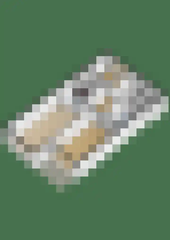 Zijpe 150 Zwolle thumbnail 34