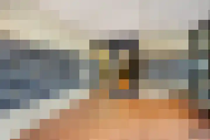 Zijpe 150 Zwolle thumbnail 4