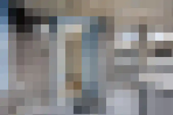 Zijpe 150 Zwolle thumbnail 5