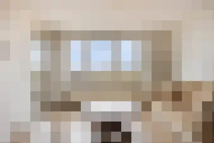 Zijpe 150 Zwolle thumbnail 8