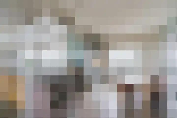 Zijpe 3 Bruinisse thumbnail 20