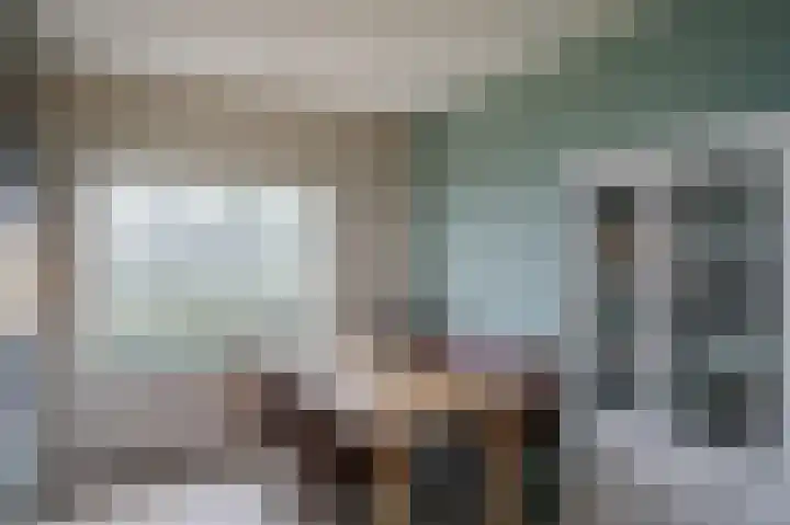 Zijpe 3 Bruinisse thumbnail 21