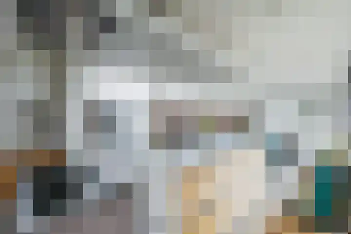 Zijpe 3 Bruinisse thumbnail 24