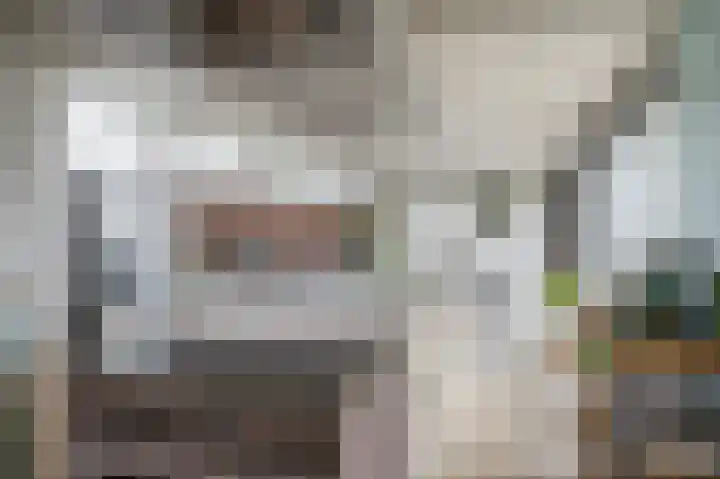 Zijpe 3 Bruinisse thumbnail 26