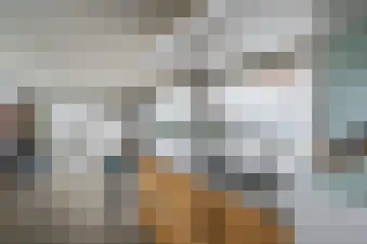 Zijpe 3 Bruinisse thumbnail 27