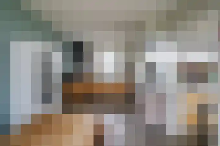 Zijpe 3 Bruinisse thumbnail 29