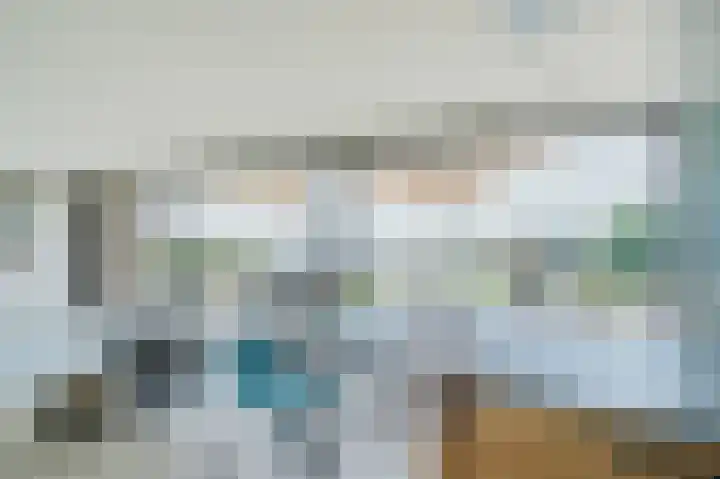 Zijpe 3 Bruinisse thumbnail 31