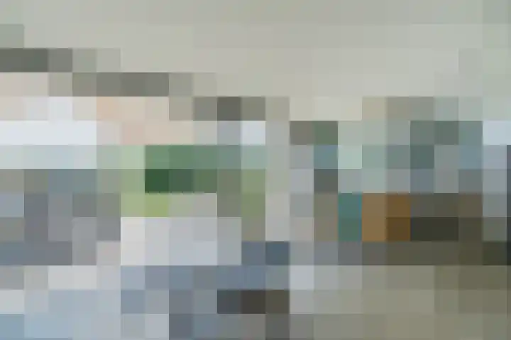 Zijpe 3 Bruinisse thumbnail 32