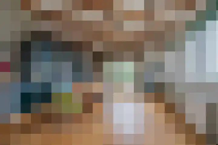 Zijpe 3 Bruinisse thumbnail 46