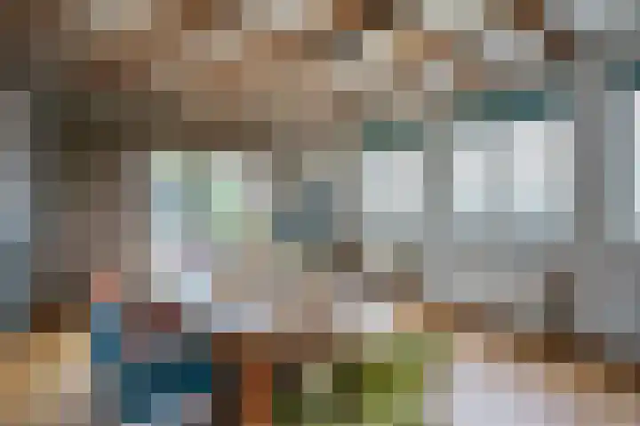 Zijpe 3 Bruinisse thumbnail 47