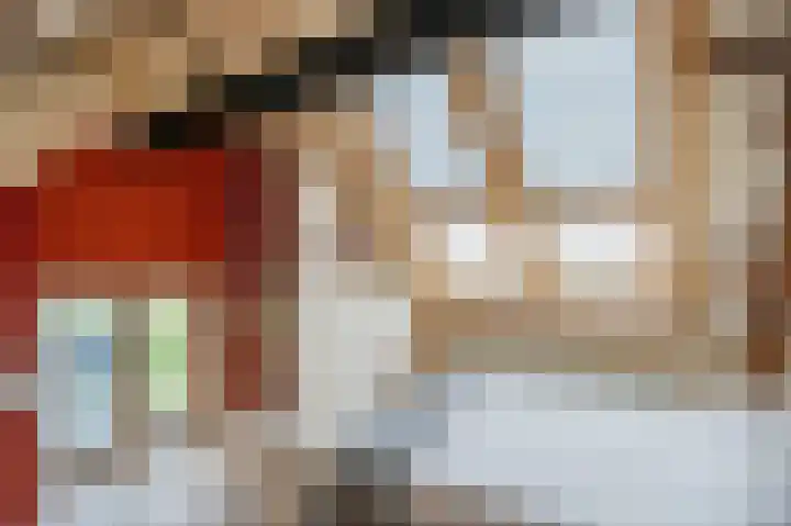 Zijpe 3 Bruinisse thumbnail 51