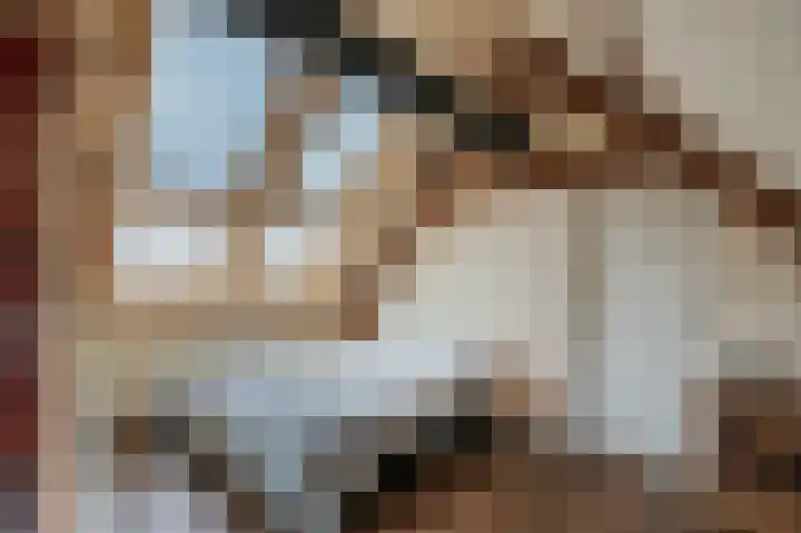 Zijpe 3 Bruinisse thumbnail 52