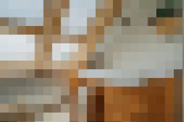 Zijpe 3 Bruinisse thumbnail 53