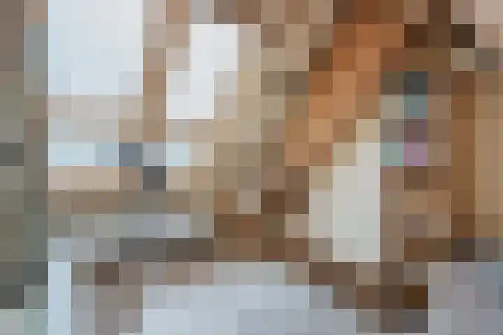Zijpe 3 Bruinisse thumbnail 57