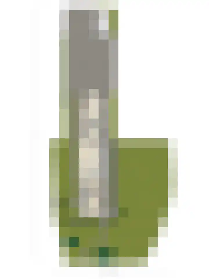 Zijpe 3 Bruinisse thumbnail 70