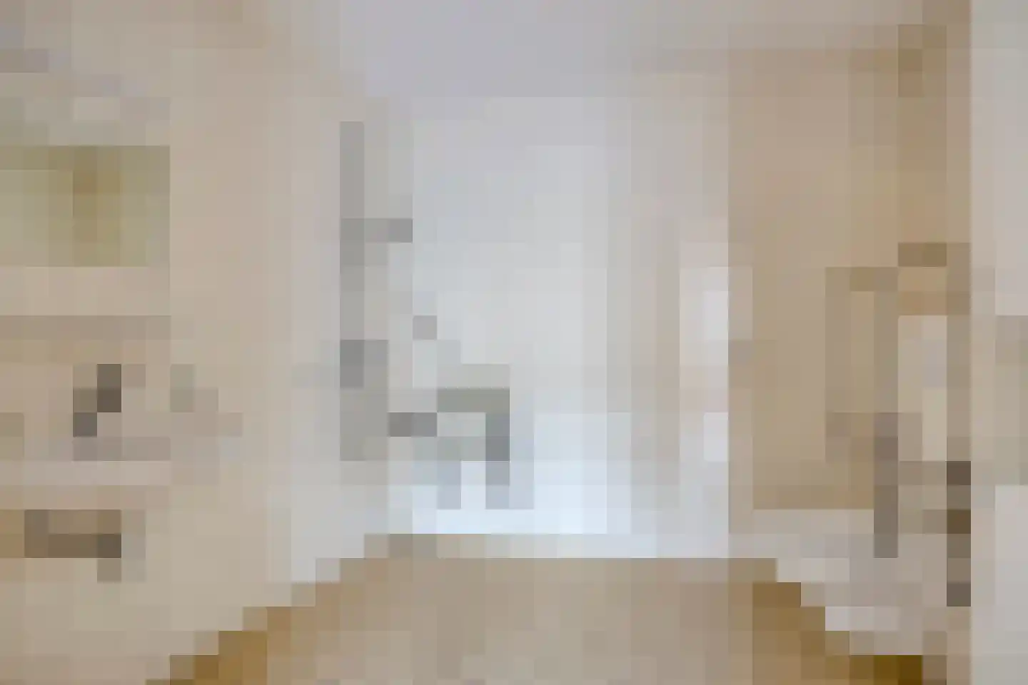 Zijpe 36 Zwolle thumbnail 13