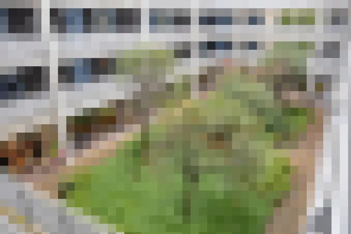 Zijpe 36 Zwolle thumbnail 24