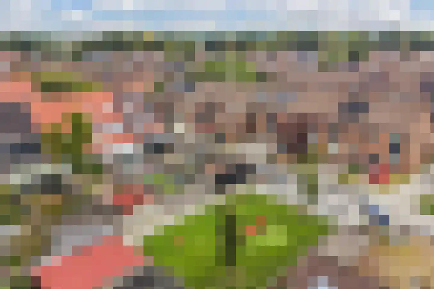 Zijpe 5 Lelystad thumbnail 7