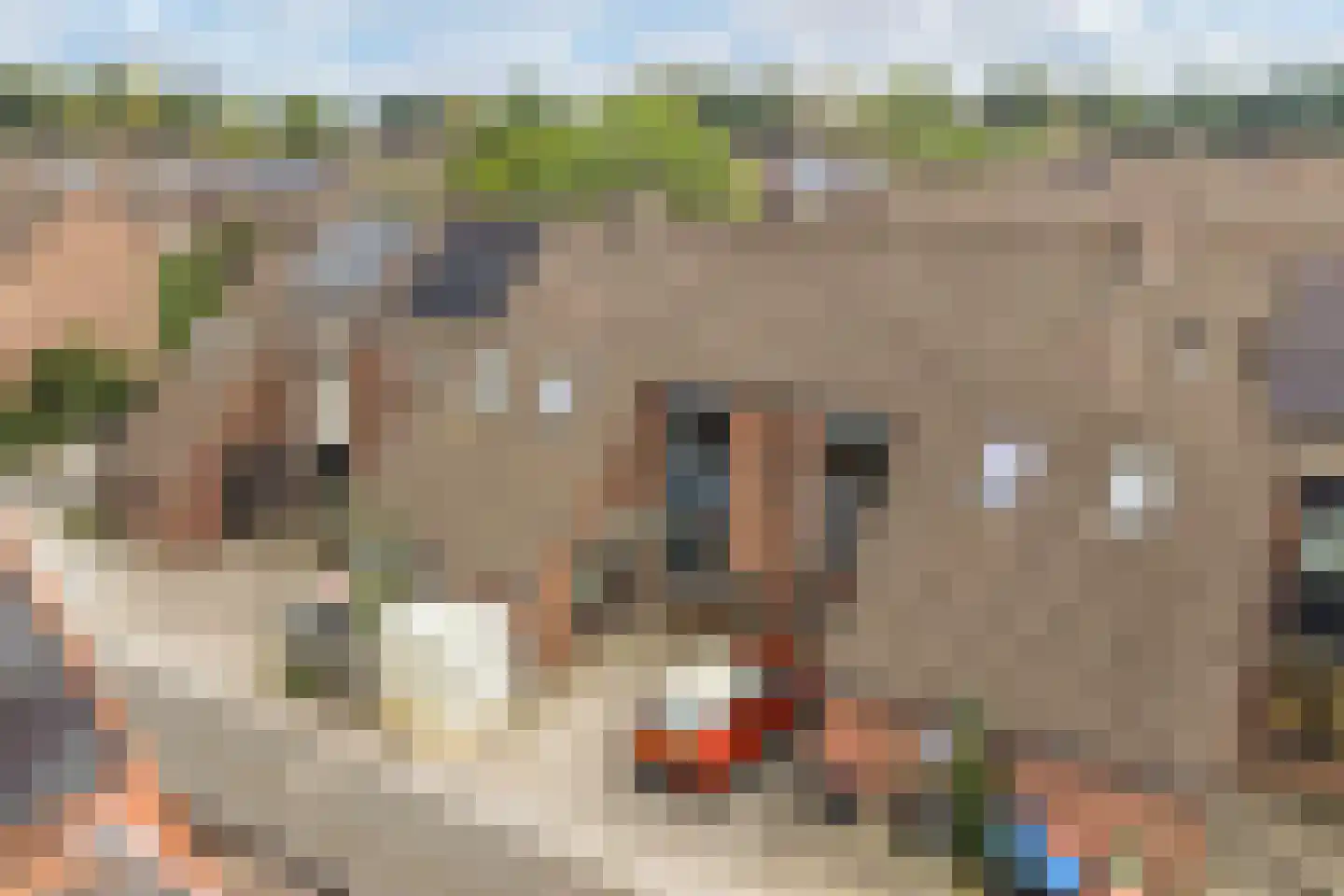 Zijpe 5 Lelystad thumbnail 9