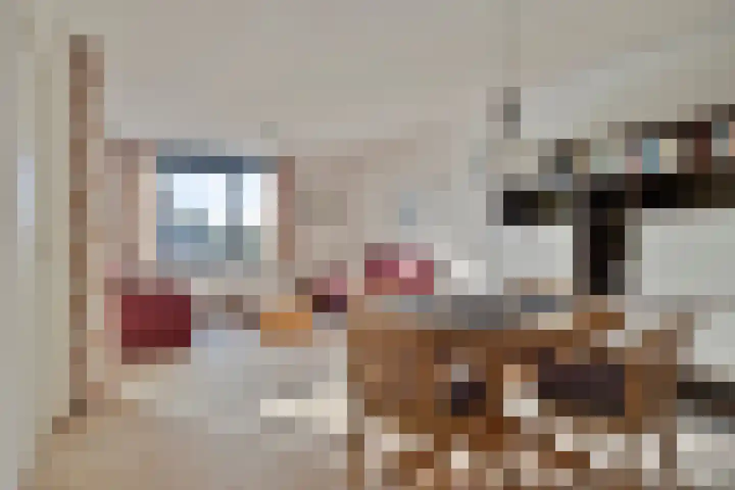 Zijpe 6 Zwolle thumbnail 12