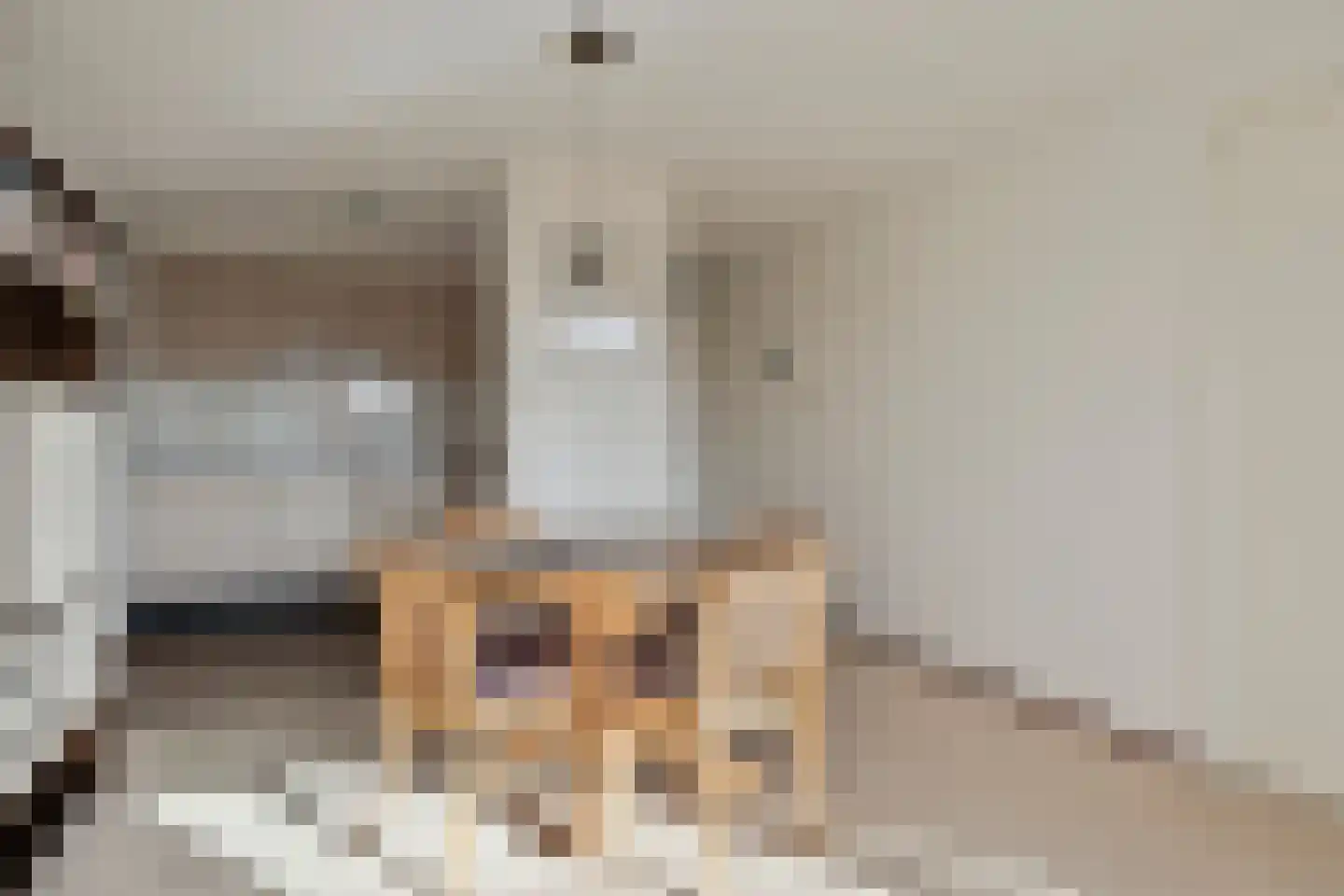 Zijpe 6 Zwolle thumbnail 16