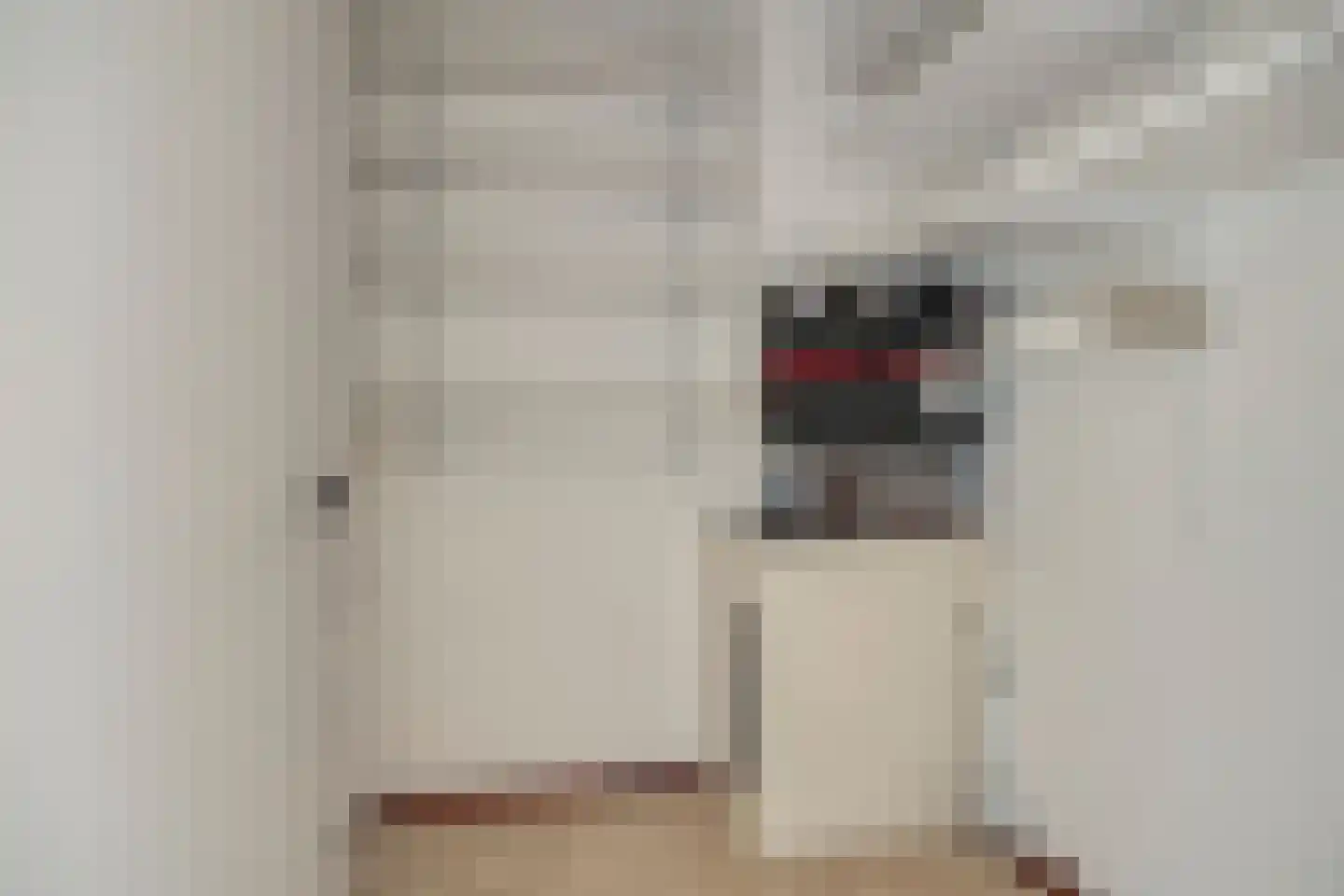 Zijpe 6 Zwolle thumbnail 25
