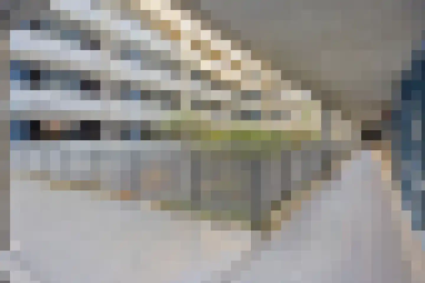Zijpe 6 Zwolle thumbnail 8