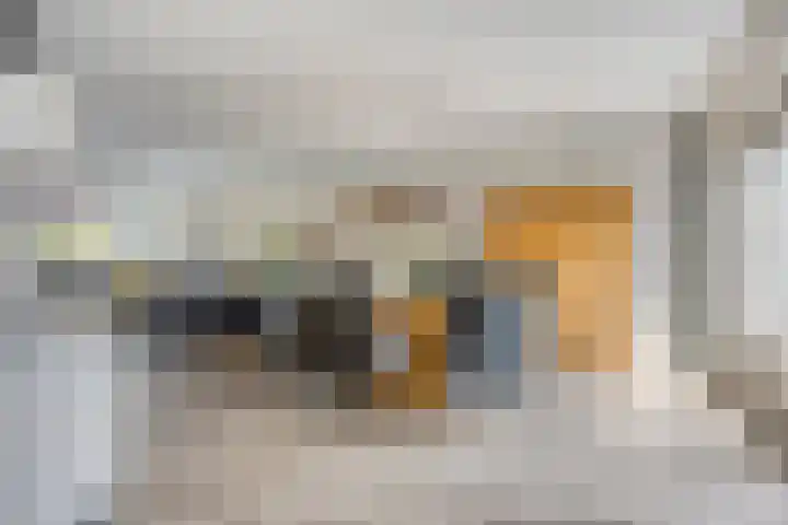 Zijpe 7 Emmeloord thumbnail 11