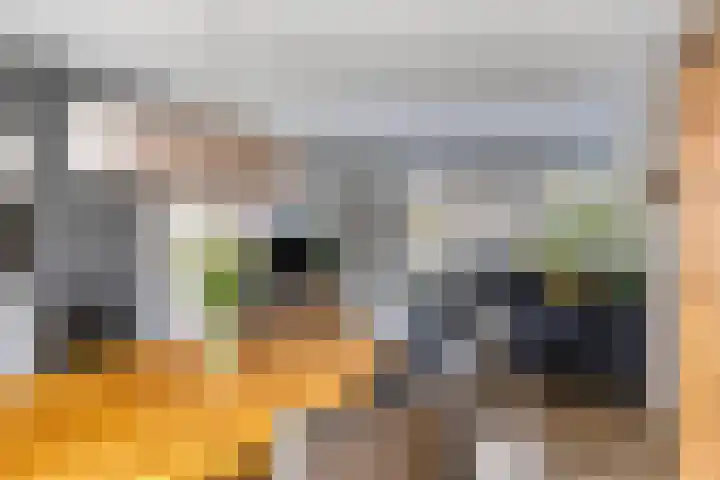 Zijpe 7 Emmeloord thumbnail 12