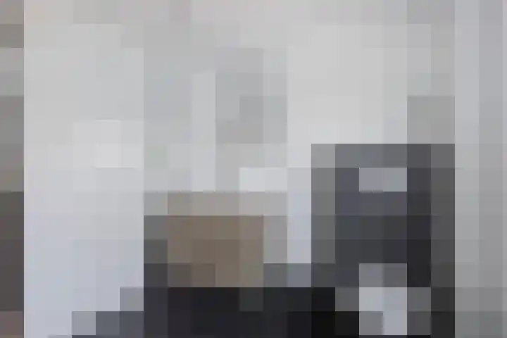 Zijpe 7 Emmeloord thumbnail 19