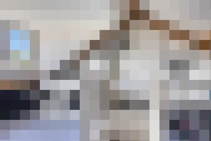 Zijpe 7 Emmeloord thumbnail 24