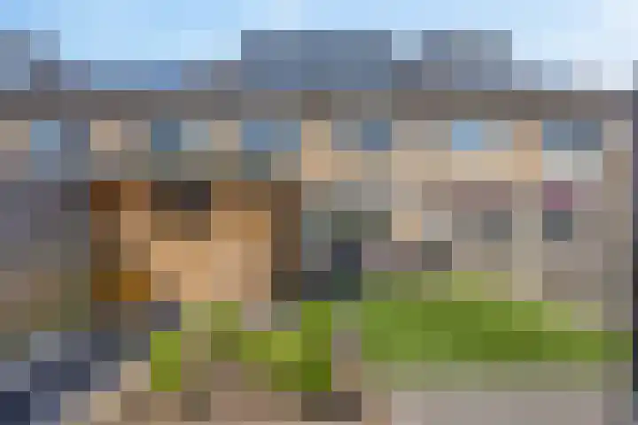 Zijpe 7 Emmeloord thumbnail 28
