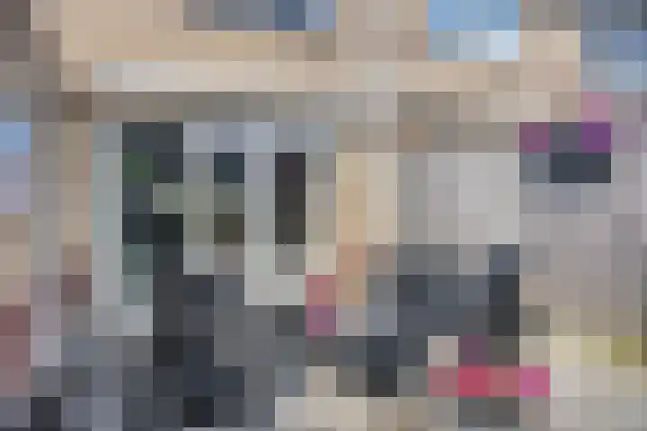 Zijpe 7 Emmeloord thumbnail 29