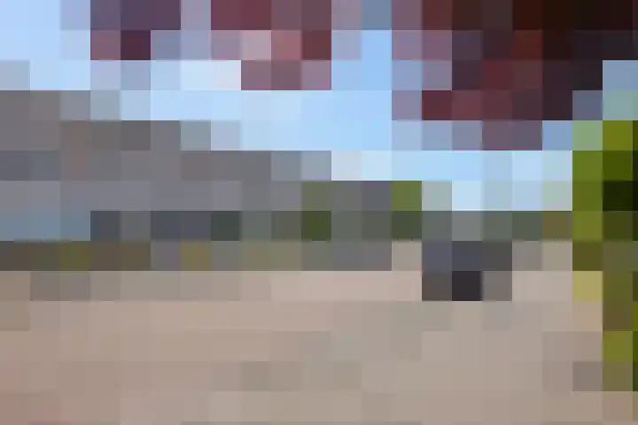 Zijpe 7 Emmeloord thumbnail 30