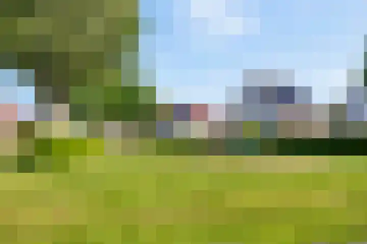 Zijpe 7 Emmeloord thumbnail 31