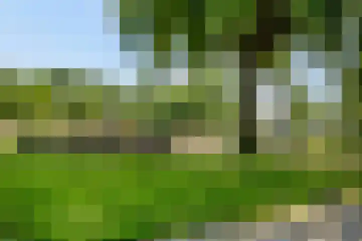 Zijpe 7 Emmeloord thumbnail 32