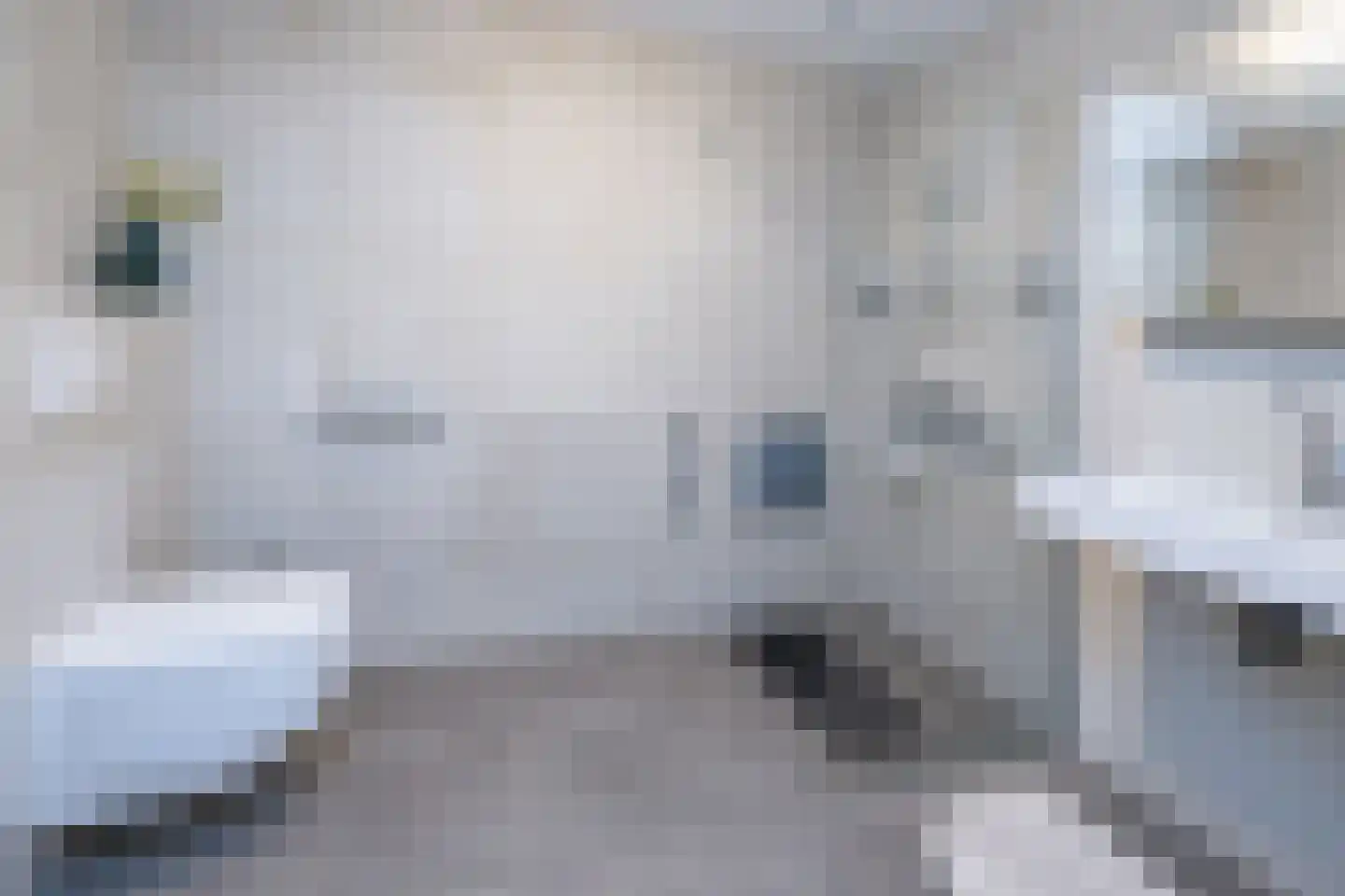 Zijpe 92 Zwolle thumbnail 17