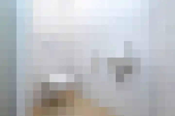 Zijpe 92 Zwolle thumbnail 20