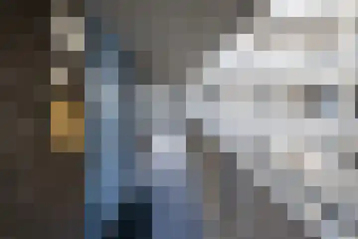 Zijpe 92 Zwolle thumbnail 22
