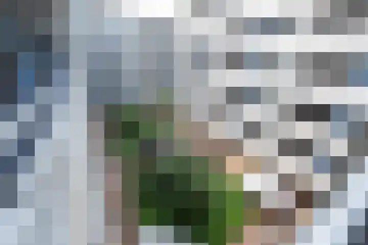 Zijpe 92 Zwolle thumbnail 23