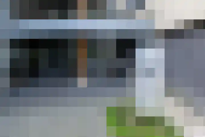 Zijpe 92 Zwolle thumbnail 25