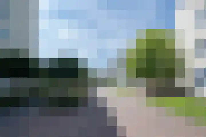 Zijpe 92 Zwolle thumbnail 27